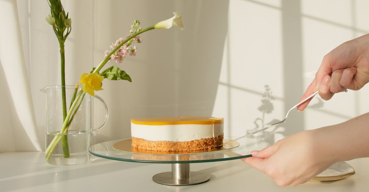 apprenez l'art de la découpe du poireau avec notre guide pratique. découvrez les techniques essentielles pour préparer cette plante savoureuse dans vos plats. des conseils de chefs et des astuces pour un résultat parfait à chaque fois.