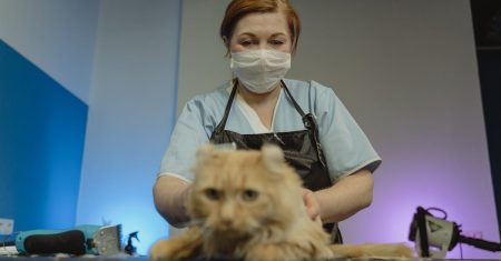 découvrez des coupes de cheveux tendance pour les cheveux longs qui mettront en valeur votre beauté naturelle. explorez des styles variés, des conseils d'entretien, et trouvez l'inspiration pour votre prochaine transformation capillaire.