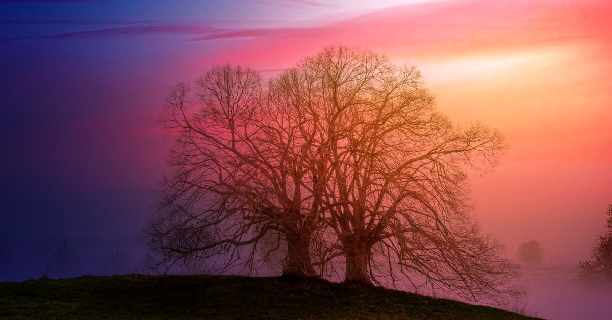 découvrez l'univers envoûtant de la magie ! plongez dans des illusions spectaculaires, des tours fascinants et des secrets anciens. laissez-vous émerveiller par des performances captivantes et apprenez les mystères derrière cet art mystérieux.