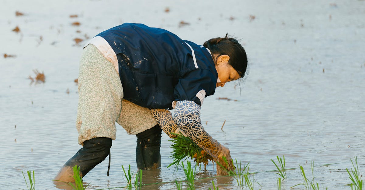 découvrez des méthodes naturelles efficaces pour améliorer votre bien-être au quotidien. apprenez à vivre en harmonie avec la nature grâce à des astuces simples et des remèdes naturels.