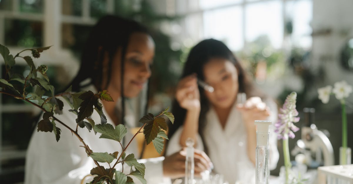 découvrez des méthodes naturelles efficaces pour améliorer votre bien-être au quotidien. nos conseils vous aideront à adopter des pratiques saines et respectueuses de l'environnement.