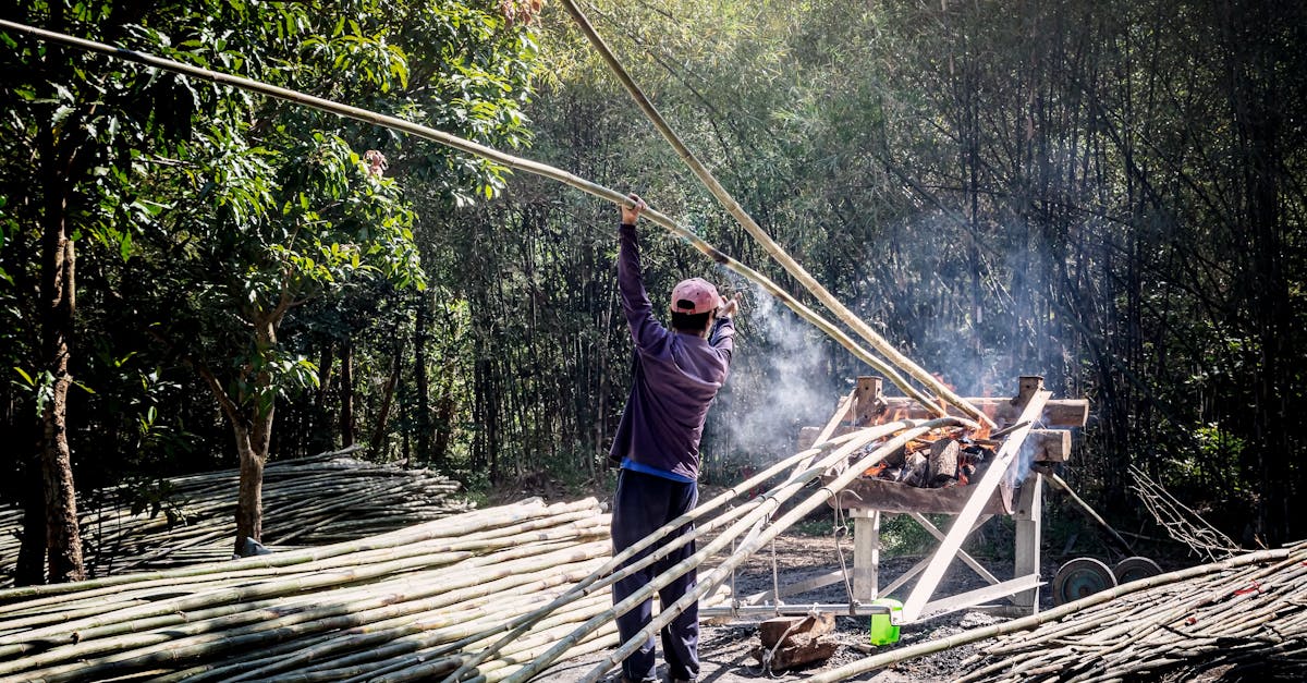 découvrez des méthodes naturelles efficaces pour améliorer votre bien-être, favoriser votre santé et adopter un mode de vie plus équilibré. apprenez à intégrer des pratiques simples et durables dans votre quotidien.