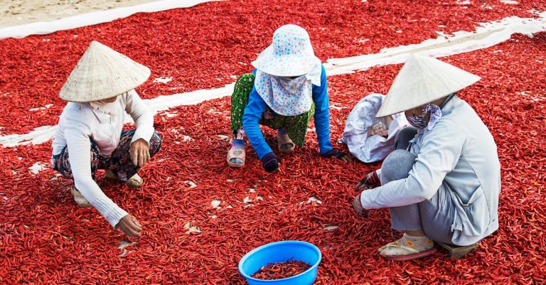 découvrez des méthodes naturelles pour améliorer votre bien-être au quotidien. explorez des solutions holistiques pour une vie saine et équilibrée.