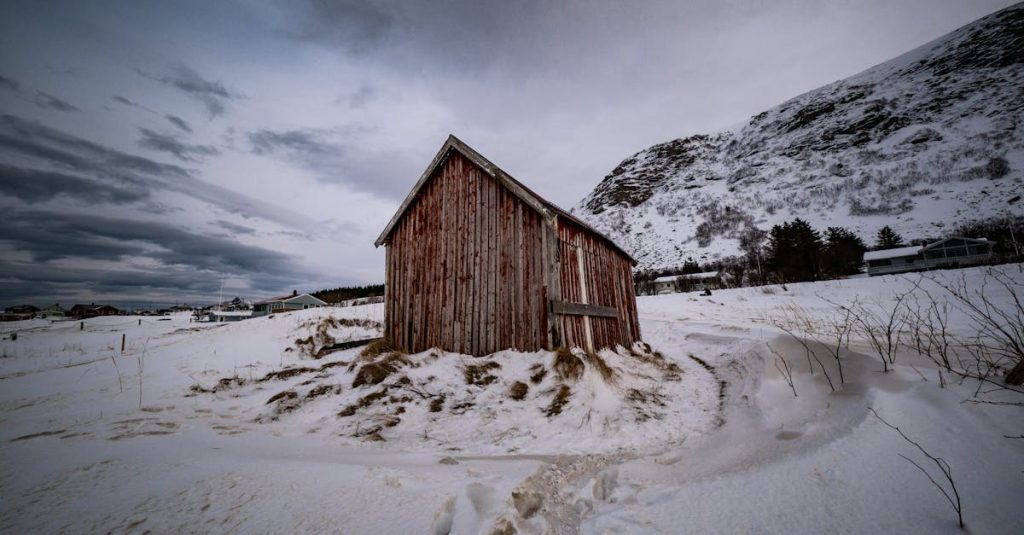 découvrez 'north', une exploration captivante des merveilles du grand nord. plongez dans des récits fascinants, des paysages à couper le souffle et une culture riche qui font de cette région un véritable trésor. partez à l'aventure et laissez-vous inspirer par la beauté et la magie du nord.