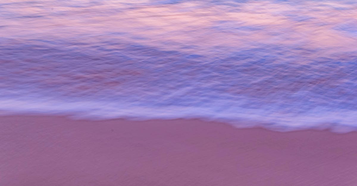 découvrez l'univers captivant du nord : paysages à couper le souffle, cultures riches et traditions uniques. explorez à travers nos articles les trésors cachés et les expériences inoubliables qui vous attendent dans cette région fascinante.