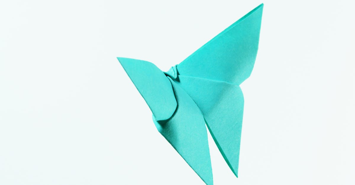 découvrez l'art fascinant de l'origami, où le papier se transforme en magnifiques créations. apprenez des techniques variées, des pliages simples aux modèles complexes, et laissez libre cours à votre imagination. idéal pour les débutants et les passionnés, plongez dans cet univers créatif et relaxant!