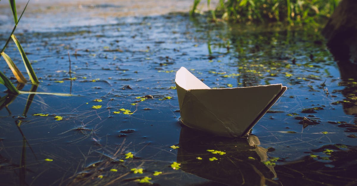 découvrez l'art fascinant de l'origami, une pratique ancienne qui transforme du papier en magnifiques œuvres d'art. apprenez des techniques simples et avancées, explorez des modèles variés et laissez libre cours à votre créativité grâce à nos tutoriels et astuces.