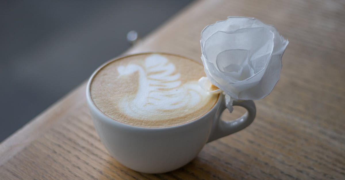 découvrez l'univers délicat et enchanteur de 'paper rose'. plongez dans un monde féerique où la créativité prend vie à travers des créations en papier uniques, magnifiques et artisanales. transformez chaque occasion avec élégance et originalité grâce à nos œuvres exceptionnelles.