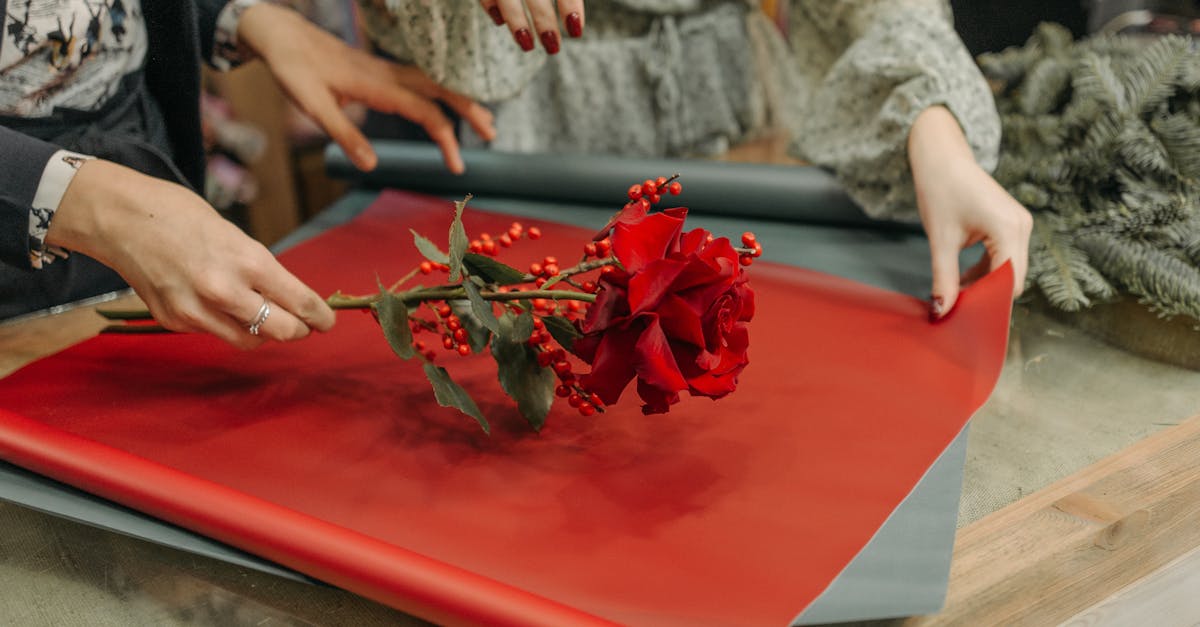 découvrez l'art délicat et raffiné du paper rose, un matériau prisé pour créer des décorations florales élégantes. parfait pour des événements spéciaux, des mariages ou simplement pour embellir votre intérieur, le paper rose apporte une touche de poésie et de créativité à vos projets. explorez nos conseils et inspirations pour manipuler ce papier avec aisance.