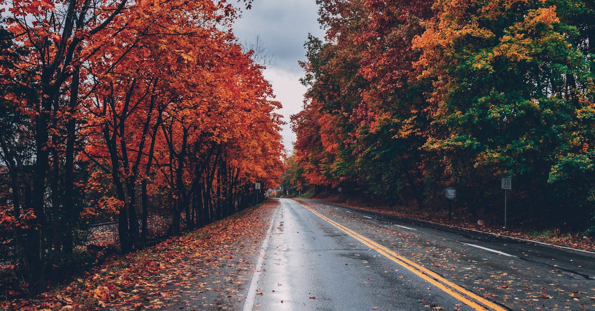 découvrez le monde fascinant des perspectives, un voyage à travers différentes visions et points de vue qui enrichissent notre compréhension de la réalité. explorez comment les perceptions influencent nos idées et nos interactions au quotidien.