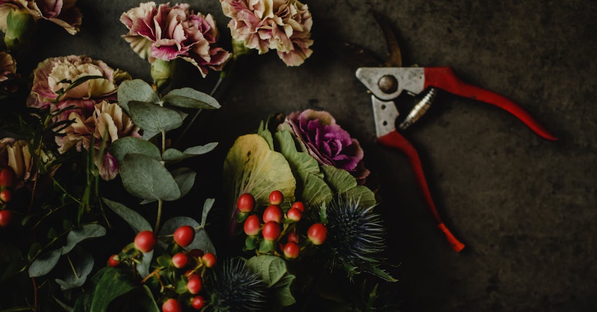 découvrez l'art de la taille des plantes avec nos conseils pratiques. apprenez les techniques essentielles pour maintenir vos jardins en pleine santé et favoriser une croissance optimale. que vous soyez un jardinier débutant ou expérimenté, notre guide sur la taille vous aidera à embellir votre espace vert.