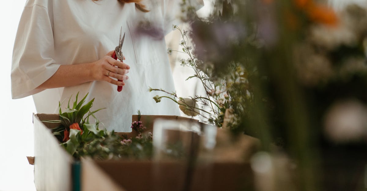 découvrez l'art de la taille des plantes pour optimiser leur croissance et leur floraison. apprenez les techniques essentielles de la taille pour des jardins luxuriants et en bonne santé.
