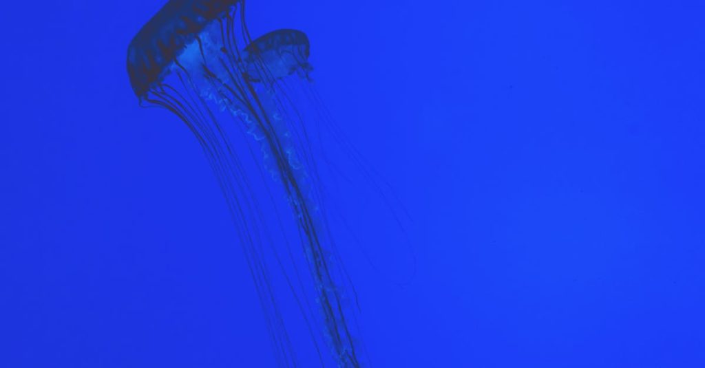 Guide pratique pour réaliser une capture d’écran sur Windows capture d'écran de haute qualité pour immortaliser vos moments clés. découvrez comment réaliser un screenshot sur différents appareils et systèmes d'exploitation.