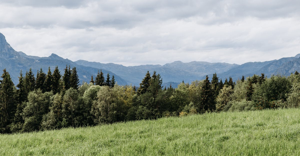 découvrez tout ce que vous devez savoir sur l'aire d'un demi-cercle ! apprenez à calculer cette mesure géométrique essentielle, ses applications pratiques et des exemples concrets pour maîtriser ce concept mathématique. idéal pour les étudiants et les passionnés de mathématiques.