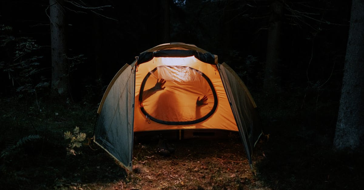 découvrez comment déterminer le sexe des guppies grâce à notre guide pratique. apprenez à identifier les mâles et les femelles, leurs caractéristiques distinctives et des conseils pour l'élevage. idéal pour les aquariophiles débutants et expérimentés.