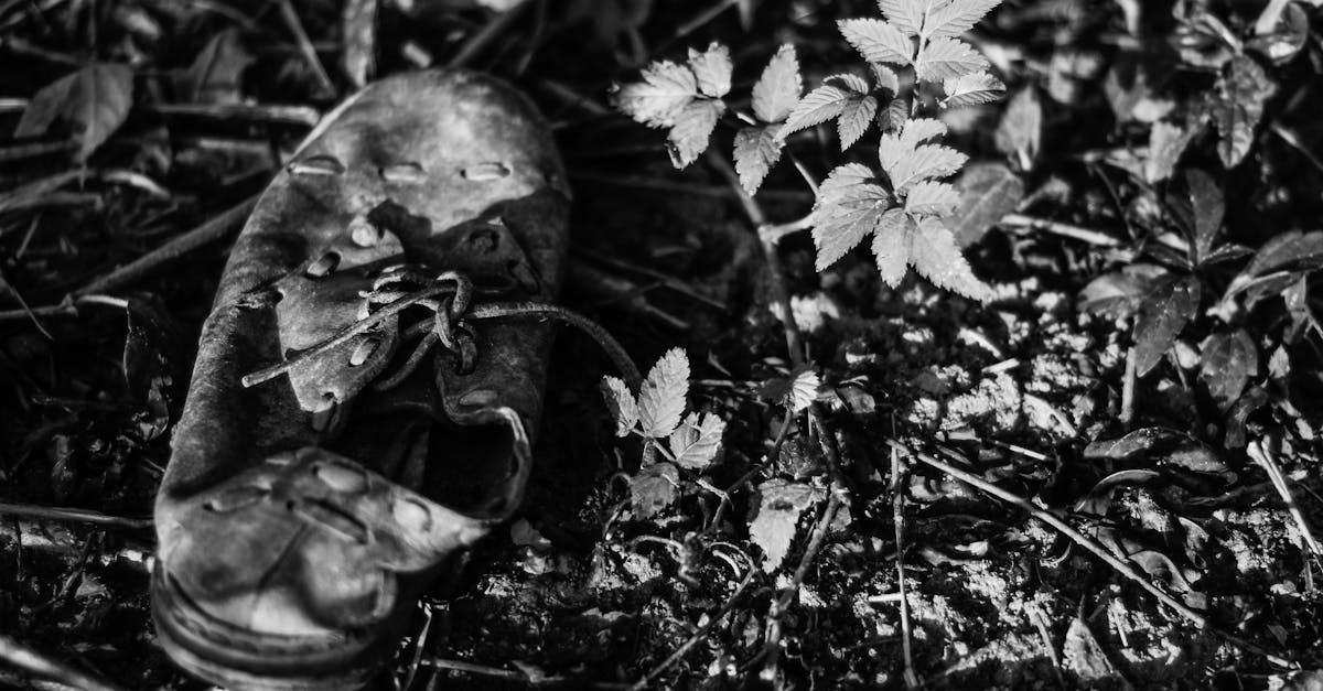 découvrez nos solutions innovantes pour le séchage rapide et efficace de vos chaussures. dites adieu à l'humidité et profitez de chaussures toujours sèches et confortables, prêtes à être portées à tout moment.