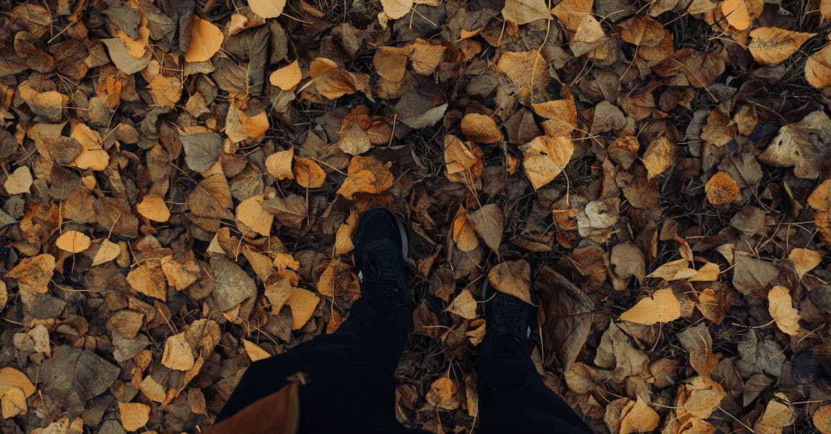 découvrez nos conseils et astuces pour sécher efficacement vos chaussures. que ce soit après une pluie ou un lavage, apprenez les meilleures méthodes pour préserver la qualité et le confort de vos souliers.