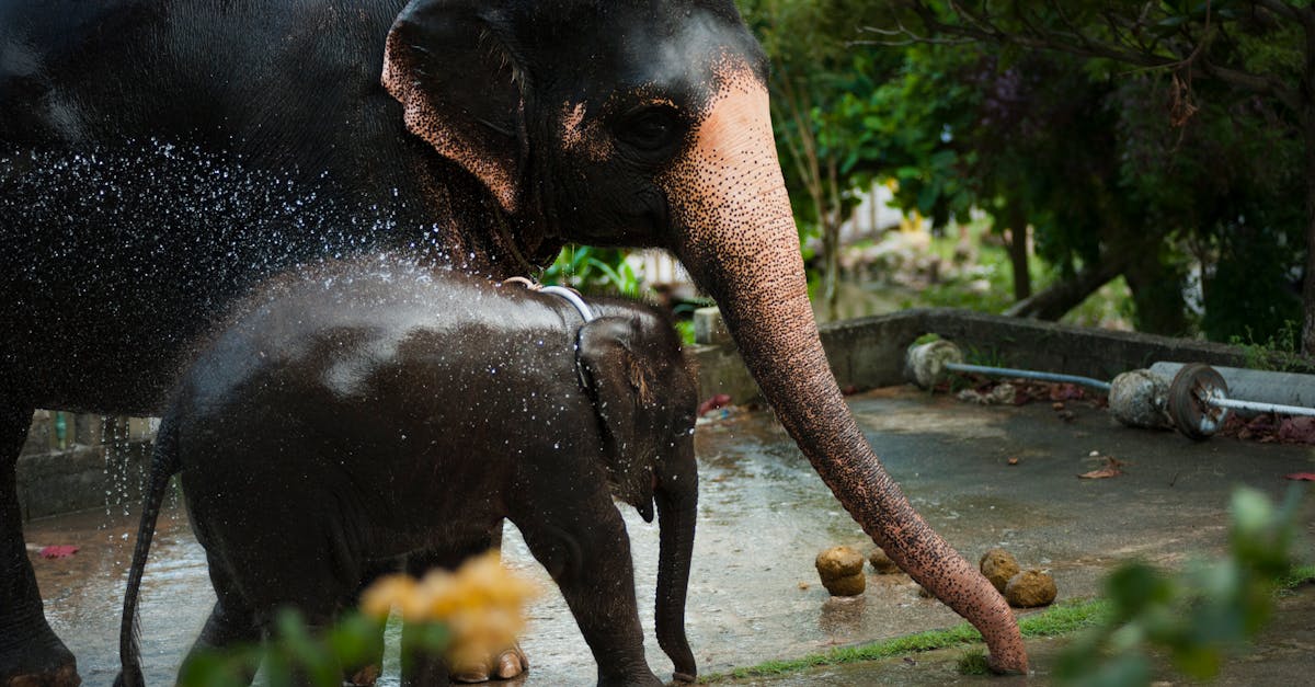 découvrez skip-bo, le jeu de cartes addictif qui met à l'épreuve votre stratégie et votre rapidité. amusez-vous en famille ou entre amis avec ce classique intemporel qui promet des heures de divertissement et de défi. apprenez les règles facilement et lancez-vous dans des parties palpitantes !