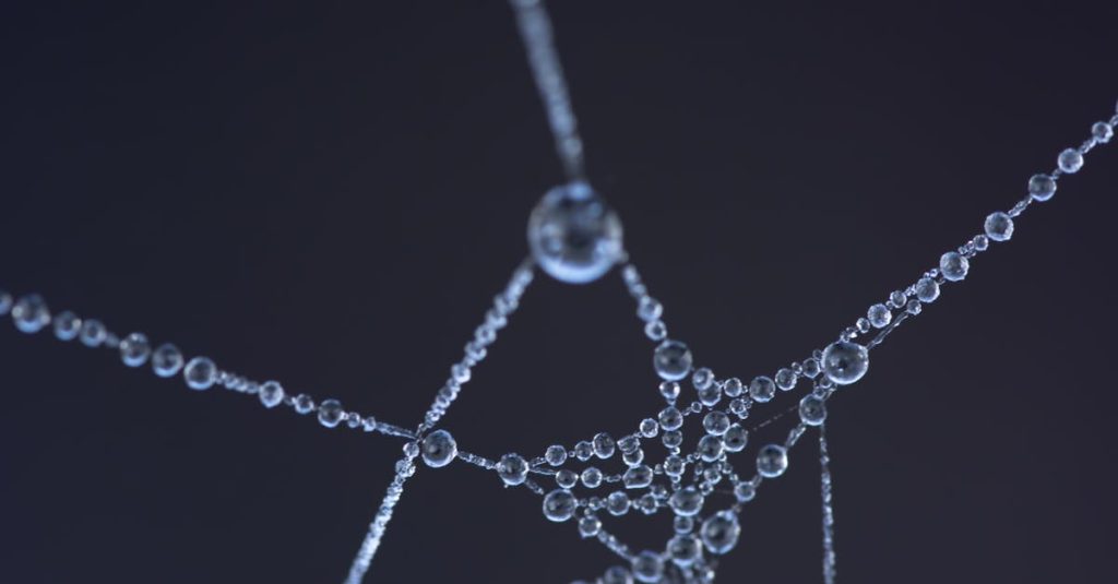 Guide pratique pour réaliser une toile d’araignée en dessin découvrez l'art de dessiner des toiles d'araignée étape par étape. que vous soyez débutant ou artiste confirmé, apprenez les techniques pour réaliser des dessins de toiles d'araignée élégants et détaillés qui captiveront l'attention.