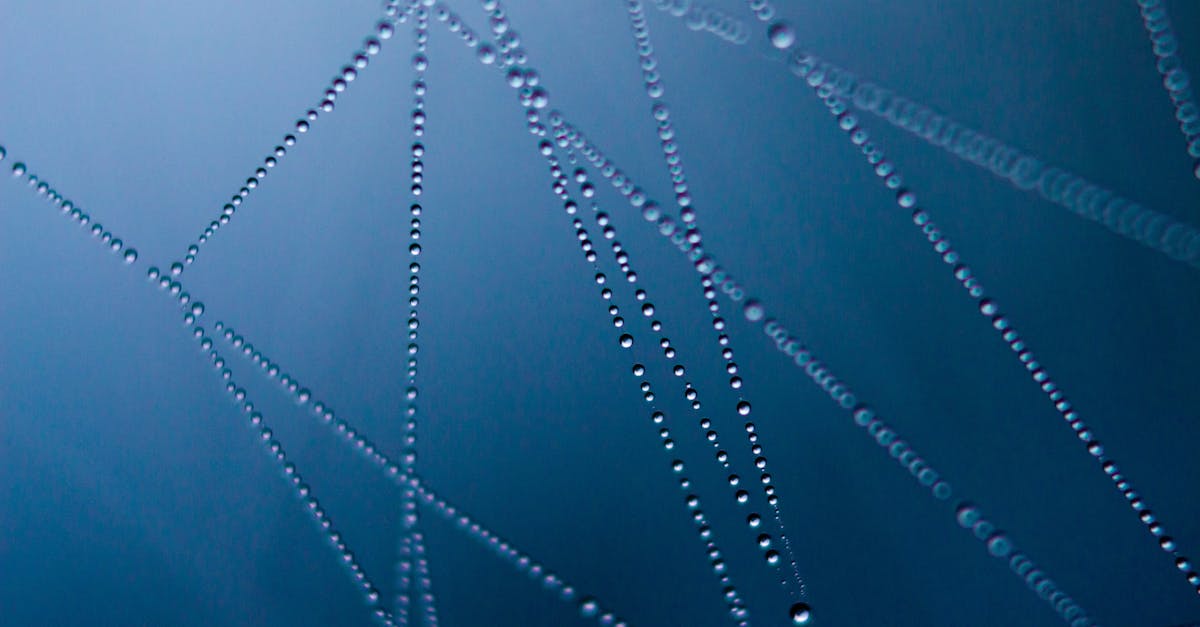 découvrez l'art de dessiner des toiles d'araignée avec nos conseils et techniques pas à pas. apprenez à capturer la beauté et la complexité de ces motifs délicats à travers des illustrations inspirantes et des astuces professionnelles.