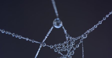 découvrez l'art de dessiner des toiles d'araignée étape par étape. que vous soyez débutant ou artiste confirmé, apprenez les techniques pour réaliser des dessins de toiles d'araignée élégants et détaillés qui captiveront l'attention.