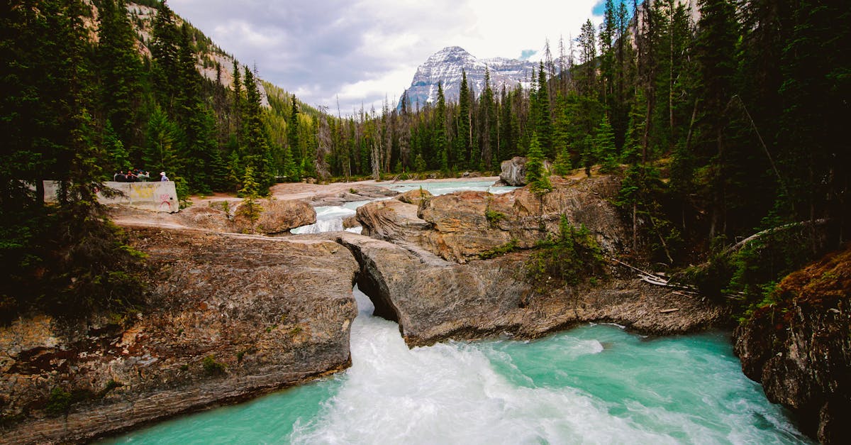 découvrez le monde des torrents : une méthode rapide et efficace pour télécharger vos fichiers préférés, que ce soit des films, de la musique ou des jeux, en toute simplicité. apprenez à gérer vos téléchargements en toute sécurité avec nos conseils et astuces.