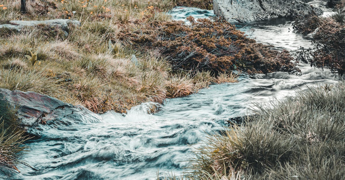 découvrez tout sur les torrents : comment les utiliser, les meilleurs sites, et les précautions à prendre pour télécharger en toute sécurité. plongez dans l'univers du partage de fichiers et apprenez à naviguer le monde du téléchargement en ligne.