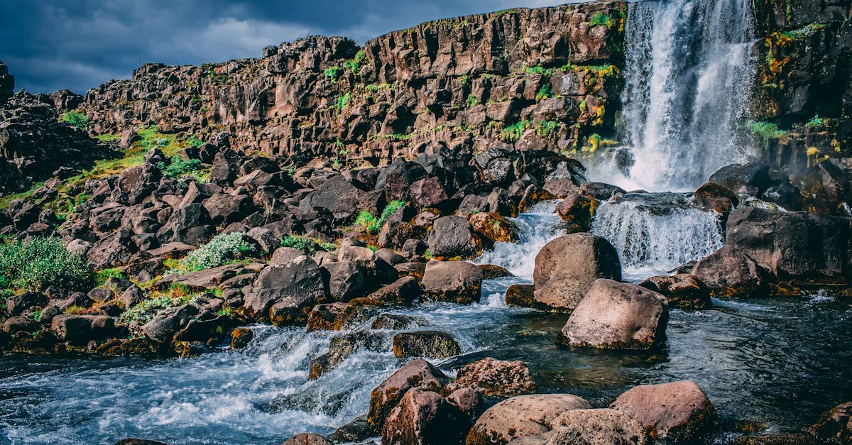 découvrez le monde du torrenting : apprenez à télécharger et partager des fichiers en toute sécurité, explorez les meilleures pratiques et astuces pour profiter pleinement des contenus numériques tout en protégeant votre vie privée.