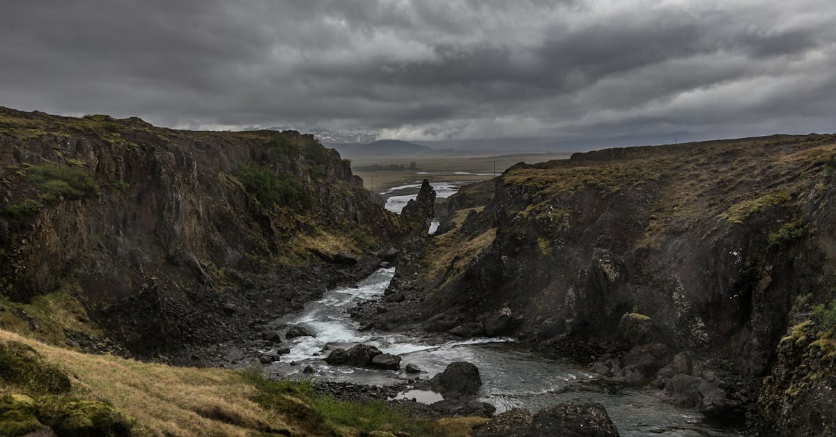 découvrez le torrenting, une méthode populaire de partage de fichiers qui permet de télécharger des contenus rapidement et efficacement. apprenez tout sur son fonctionnement, ses avantages et comment l'utiliser en toute sécurité.