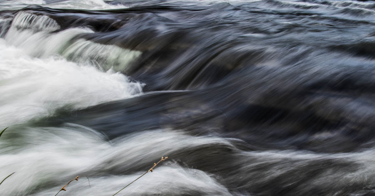 découvrez l'univers du torrenting : une méthode populaire pour partager et télécharger des fichiers en ligne. apprenez à utiliser les meilleurs clients torrent, à protéger votre vie privée et à éviter les risques liés au téléchargement. explorez les différentes options disponibles et maximisez votre expérience de téléchargement en toute sécurité.