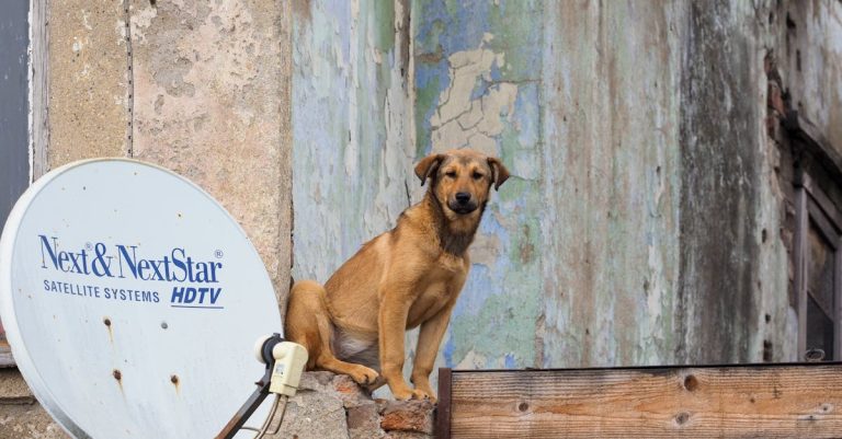 découvrez comment choisir la meilleure antenne tv pour recevoir des chaînes en haute définition sans abonnement. profitez de vos émissions préférées avec une installation simple et efficace.