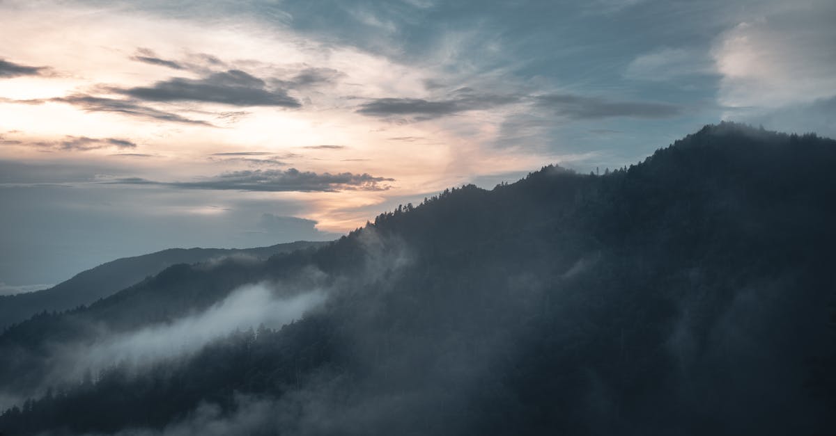 téléchargez facilement vos vidéos préférées avec notre téléchargeur de vidéos. accédez à vos contenus multimédias hors ligne et profitez de vos moments favoris où que vous soyez.