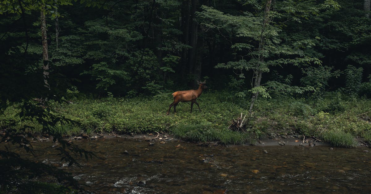 découvrez notre outil de téléchargement de vidéos facile à utiliser. profitez de vos contenus préférés hors ligne, que ce soit des films, des clips musicaux ou des vidéos de réseaux sociaux. téléchargez vos vidéos en un seul clic et regardez-les où vous voulez, quand vous voulez.