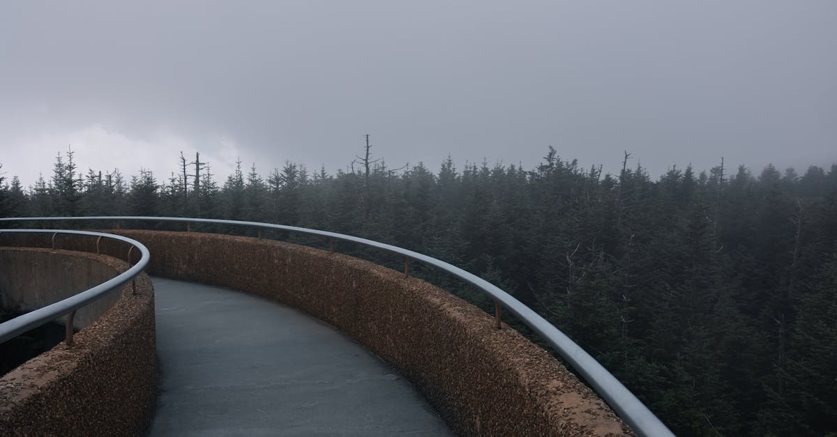 téléchargez vos vidéos préférées rapidement et facilement avec notre outil de téléchargement vidéo. profitez d'une expérience sans publicité et sauvegardez vos contenus en quelques clics.