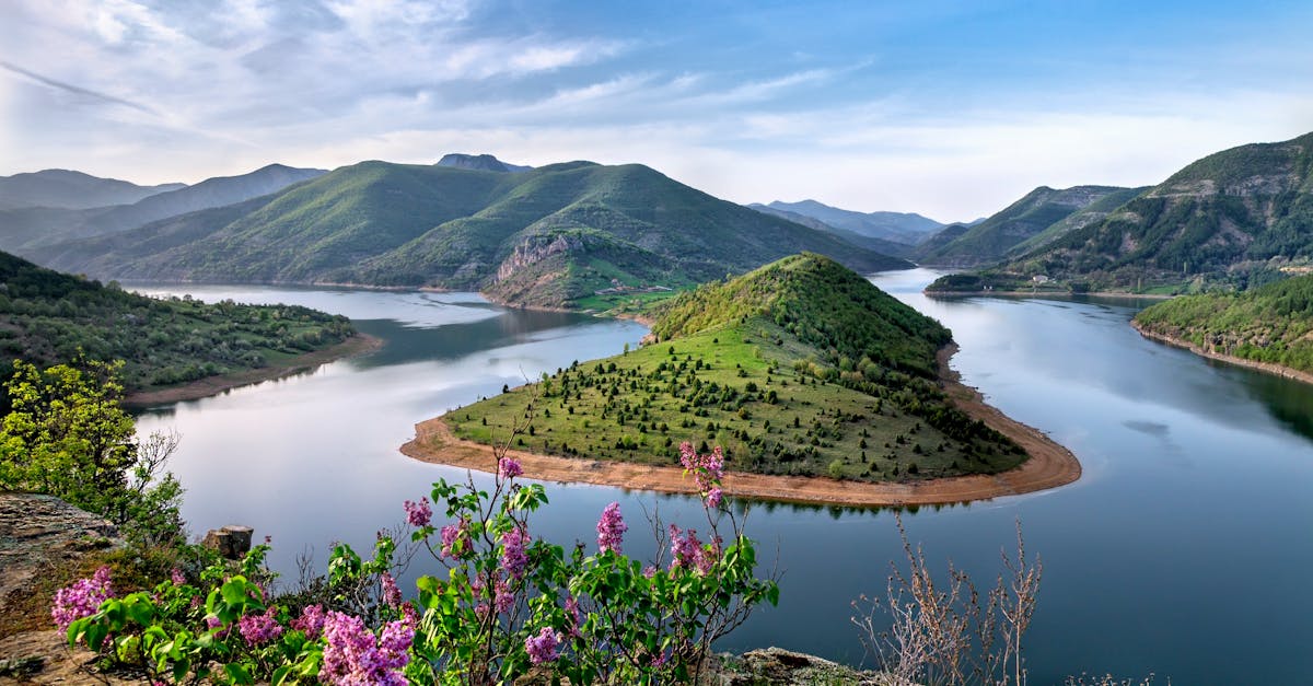 découvrez les techniques de cintrage du bois pour transformer vos projets créatifs. apprenez les méthodes traditionnelles et modernes pour plier le bois avec efficacité et précision.