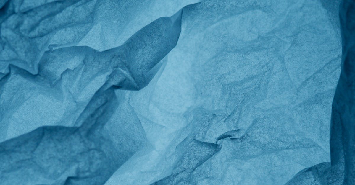 découvrez l'art du wrap : une technique culinaire polyvalente qui permet de préparer de délicieux en-cas et repas. que ce soit avec des tortillas, des galettes ou des feuilles de riz, apprenez des recettes créatives et savoureuses pour impressionner vos convives.