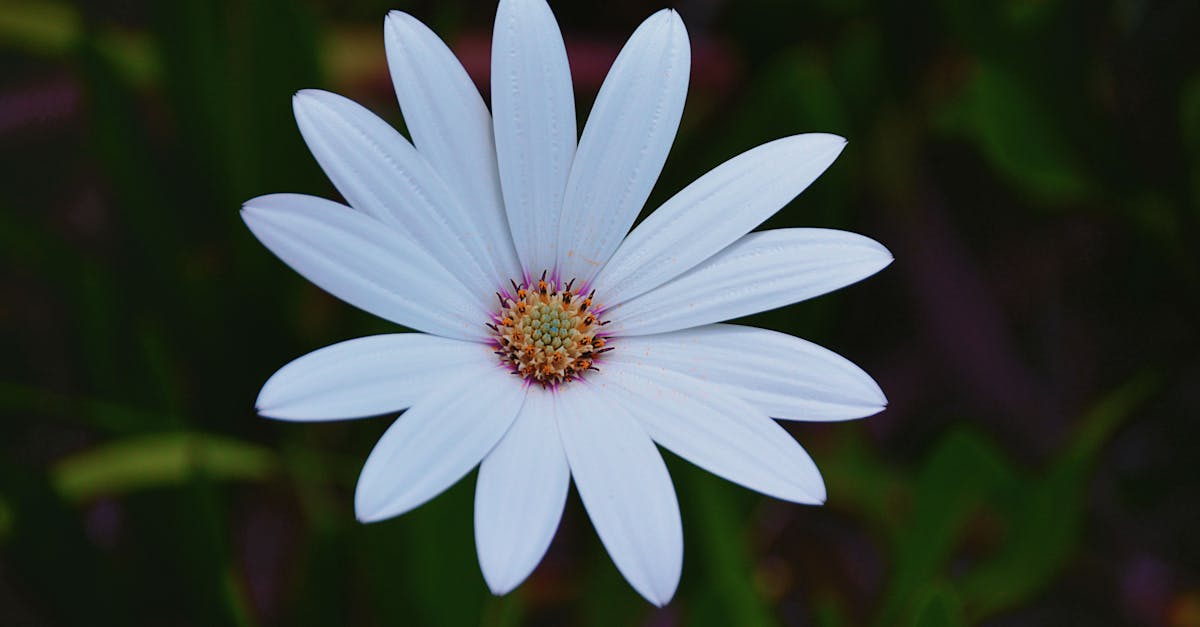 découvrez les solutions d'assurance et de services proposés par april, spécialiste reconnu en protection santé, prévoyance et assurance emprunteur pour particuliers et professionnels.