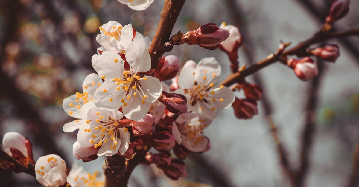 découvrez april, le spécialiste de l’assurance santé, emprunteur et prévoyance. bénéficiez de solutions sur-mesure pour particuliers et professionnels, d’un accompagnement personnalisé et de services innovants pour protéger votre avenir.