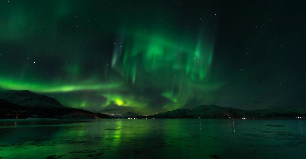 découvrez disney+ : votre plateforme de streaming incontournable pour films, séries, dessins animés et documentaires signés disney, pixar, marvel, star wars et national geographic. essayez dès maintenant !