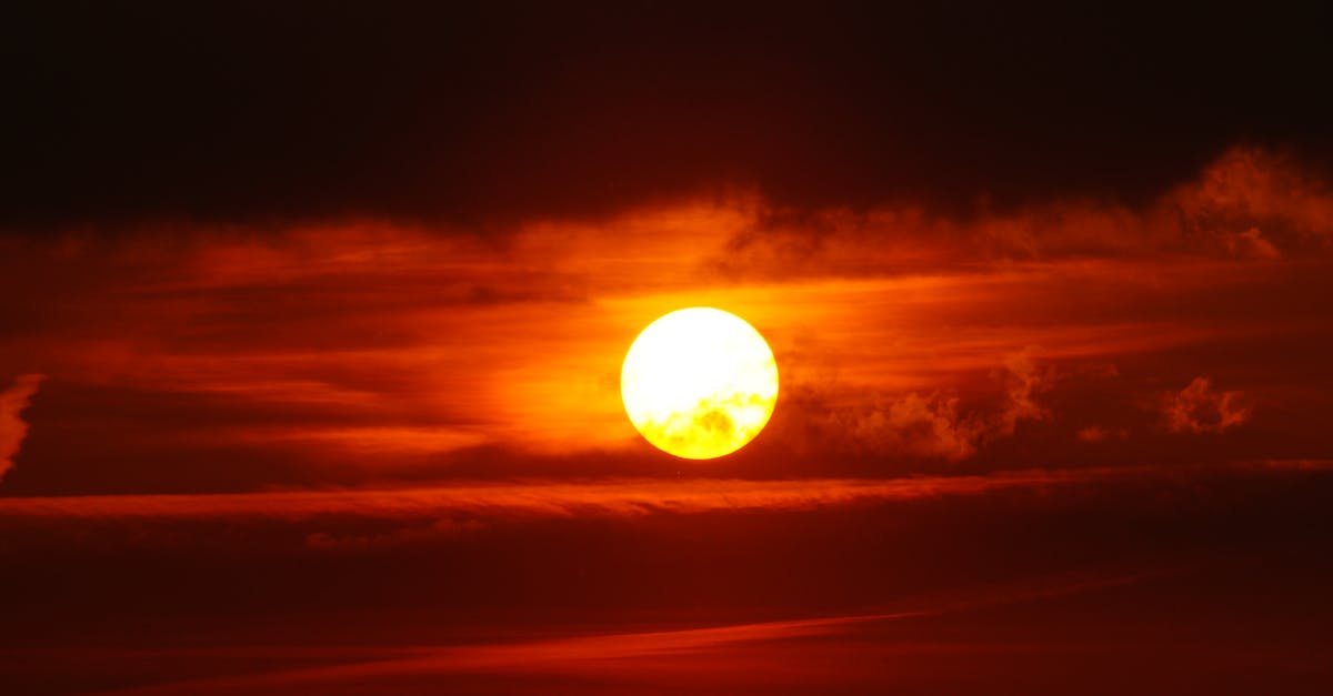 découvrez les solutions solaires d'edf : panneaux photovoltaïques, autoconsommation et conseils d'experts pour optimiser votre production d'énergie renouvelable et réduire vos factures d'électricité.