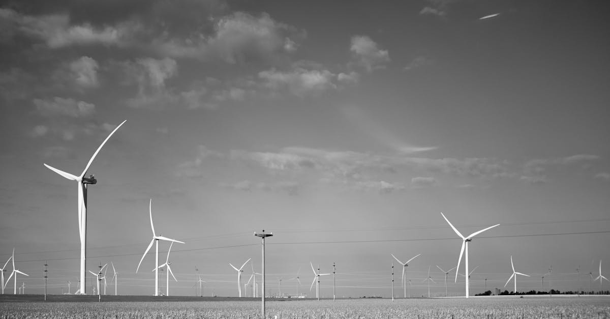 découvrez les dernières informations sur les prix de l'électricité : évolution, tendances en france et conseils pour économiser sur votre facture d'énergie.