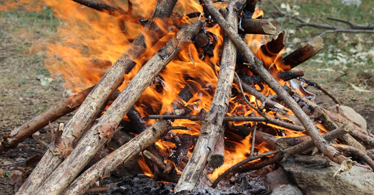 comparez facilement les offres d'énergie pour économiser sur vos factures. découvrez les meilleures options de fournisseurs en électricité et gaz, adaptées à vos besoins et à votre budget.