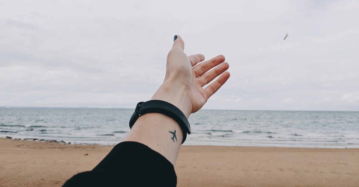 découvrez les meilleures ressources et outils gratuits disponibles en ligne pour répondre à tous vos besoins, que ce soit pour l'éducation, les loisirs ou le travail. profitez d'offres exclusives et de conseils pour tirer le meilleur parti de tout ce qui est free !