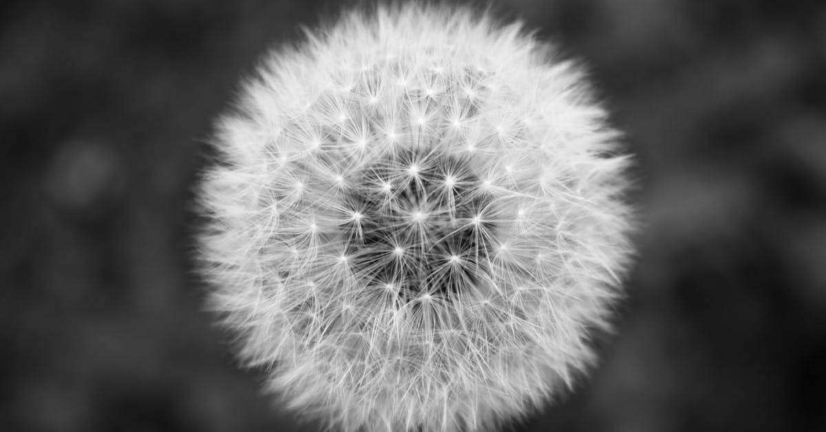 accédez à une sélection de ressources et d'outils gratuits pour faciliter votre quotidien, découvrir de nouveaux services ou profiter d'offres sans frais. explorez le meilleur du gratuit en ligne !