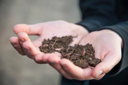 Germnay, Hands holding soil with worms