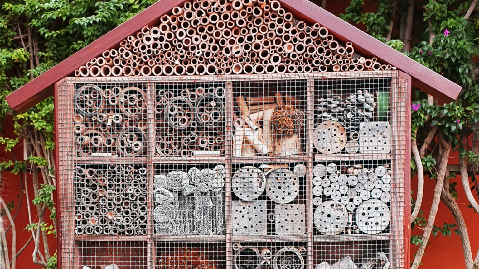 Habitat : que considère-t-on comme une "maison écologique" aujourd'hui ?