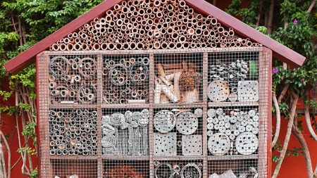 Habitat : que considère-t-on comme une "maison écologique" aujourd'hui ?