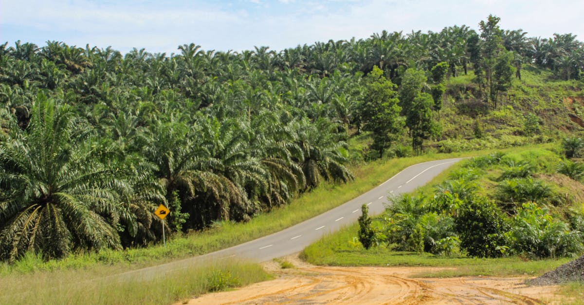 trouvez facilement ce que vous cherchez grâce à locate : votre outil de localisation rapide et efficace pour tous vos besoins.
