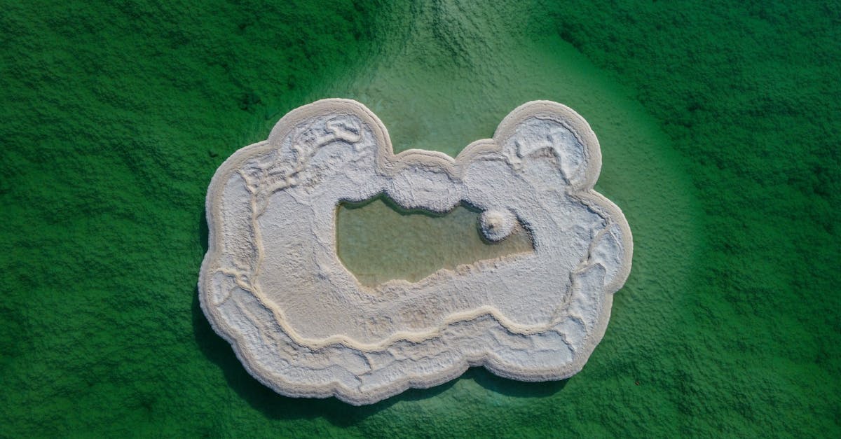 découvrez les bienfaits du magnésium, un minéral essentiel pour la santé. apprenez ses rôles, ses sources alimentaires, ses effets sur le corps et les signes d'une carence. conseils et astuces pour couvrir vos besoins quotidiens.