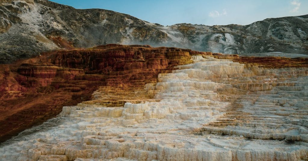 découvrez les bienfaits du magnésium, un minéral essentiel pour la santé, intervenant dans la gestion du stress, la forme musculaire et le bien-être général. conseils, sources naturelles et recommandations de consommation.